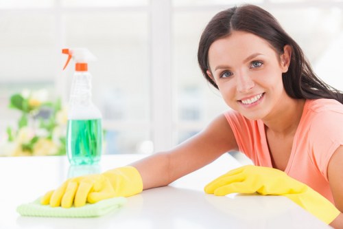 Accessible carpet cleaning website in Crystal Palace with inclusive design features