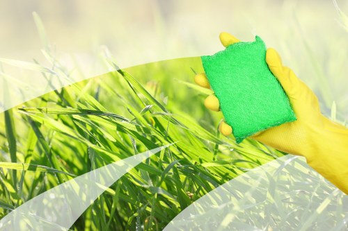 Local stain removal service for carpets and upholstery in Crystal Palace