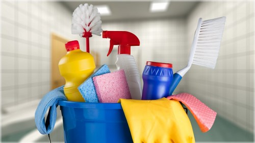 Customer raising a carpet cleaning complaint for review
