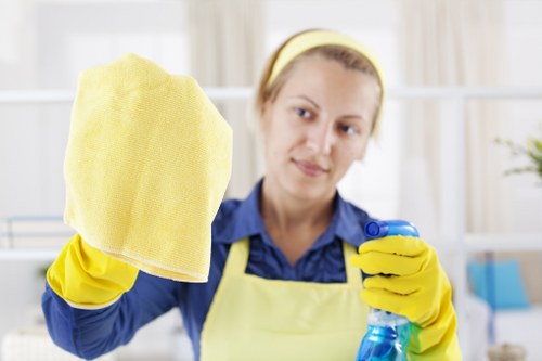 Professional sofa cleaning in Crystalpalace for a fresh living room
