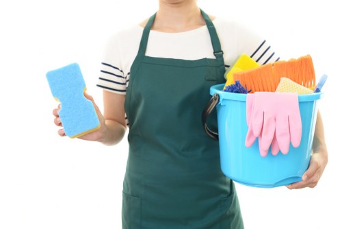 Professional carpet cleaning for a family home near Crystal Palace Park