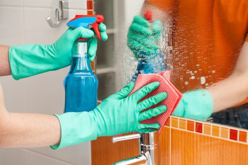 Professional oven cleaning in Crystalpalace kitchen