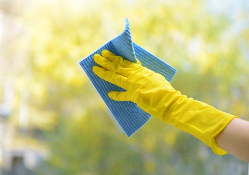 Carpet Cleaning Crystal Palace using eco-conscious recycling practices