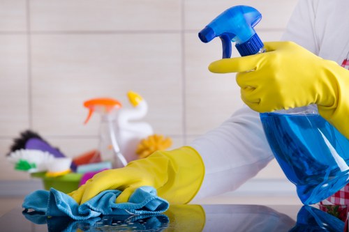 Crystal Palace cleaners providing deep cleaning for a bright kitchen