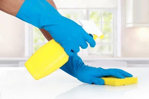 Local cleaners working on a Crystal Palace end of tenancy kitchen and bathroom clean