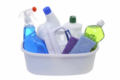 Professional discussing a carpet cleaning resolution process