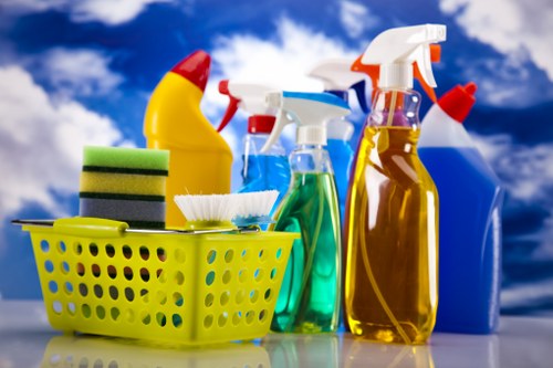 Professional home cleaners in Crystal Palace cleaning a bright living room