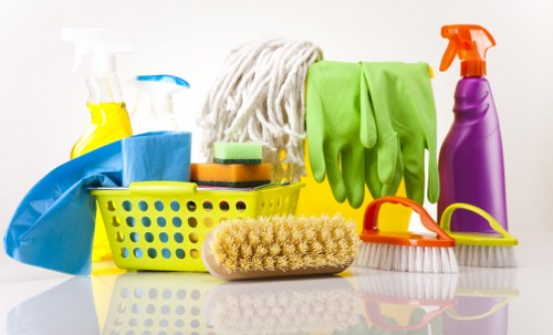 Professional rug cleaning for a Crystal Palace home interior
