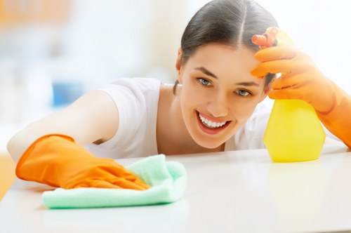 Professional window cleaning in Crystalpalace for bright, streak-free glass