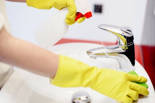 Commercial gutter cleaning for premises in Crystal Palace