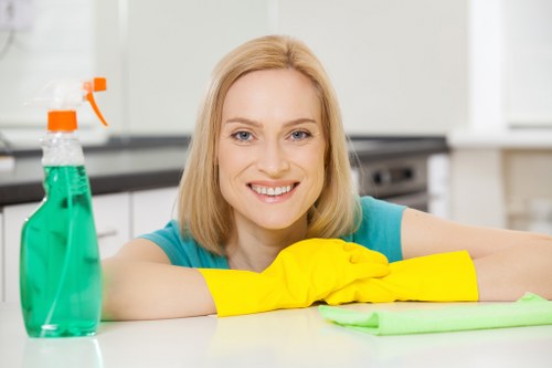Cleaner maintaining a kitchen during a routine Crystal Palace visit