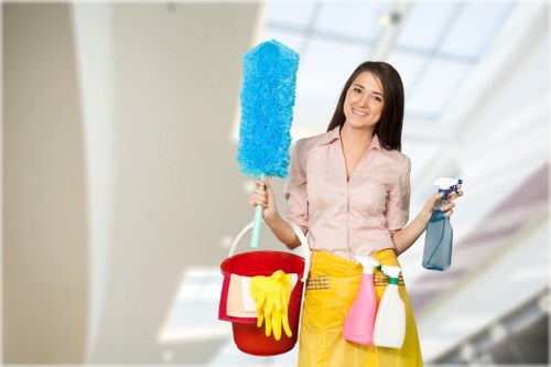 Local window cleaning service covering Crystal Palace and nearby areas