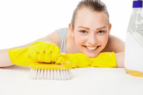 Kitchen domestic cleaning service in Crystalpalace with spotless surfaces