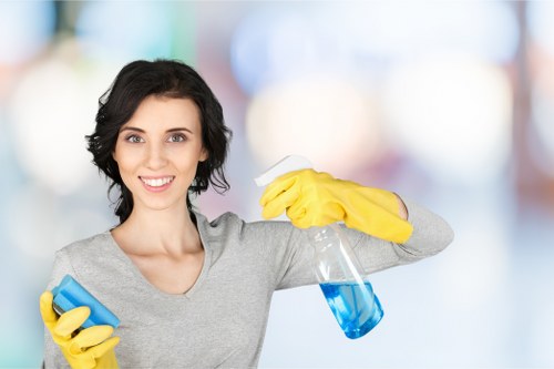 Local carpet cleaning service in Crystal Palace with deep cleaning and fabric care