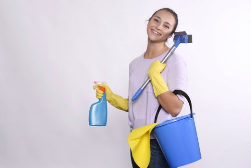 Booking process and customer information for carpet cleaning