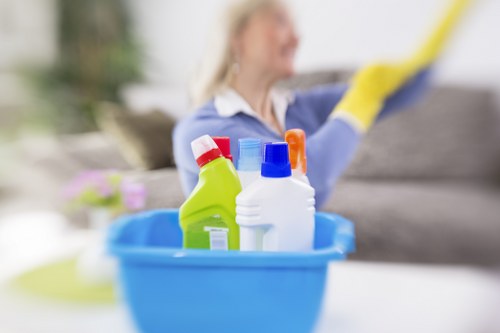 Deep cleaning treatment for a pet odour issue on upholstery