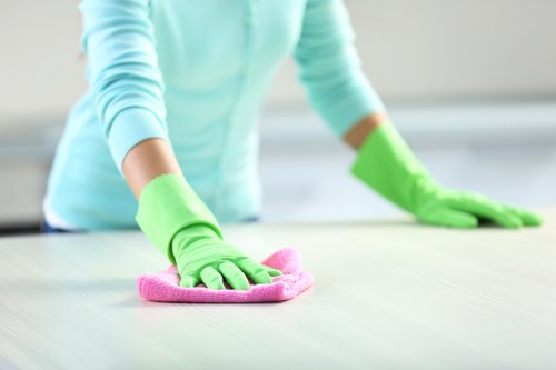Professional carpet cleaning appointment details