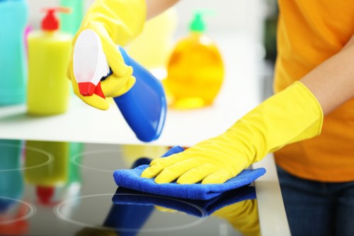 Cleaning products and treatment process for carpets