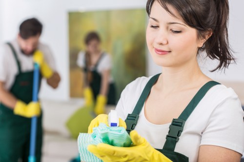 Local cleaning company in Crystal Palace offering tailored services