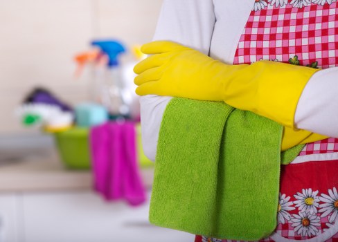 Local domestic cleaner preparing a tidy living room in Crystal Palace