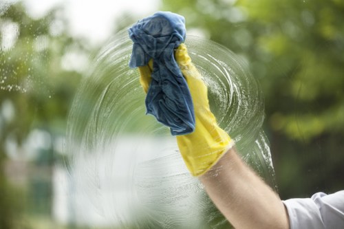Deep cleaning support for a Crystal Palace household interior