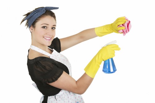 Bathroom cleaning as part of a one off cleaning service in Crystal Palace