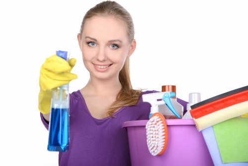 Reliable home cleaners in Crystal Palace sanitising a modern bathroom