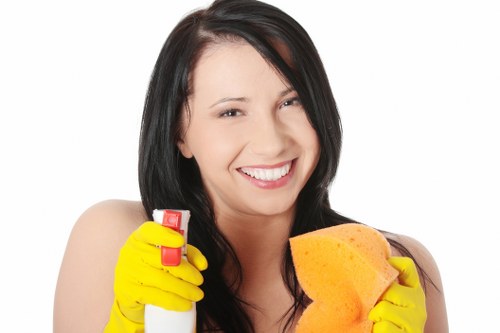 PPE used during professional carpet cleaning in Crystal Palace