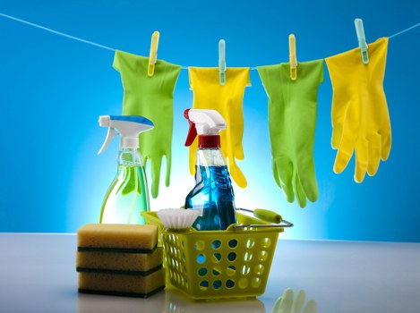 Deep carpet cleaning process for a local property in Crystal Palace