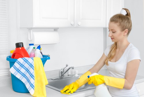 Reliable Crystal Palace cleaning expert working in a modern home interior